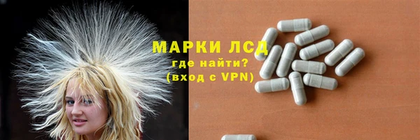 спайс Мегион